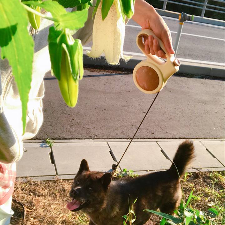 A8ee34ba 01b8 4ee8 ac7a 6e30eed2eae9 1528888493554