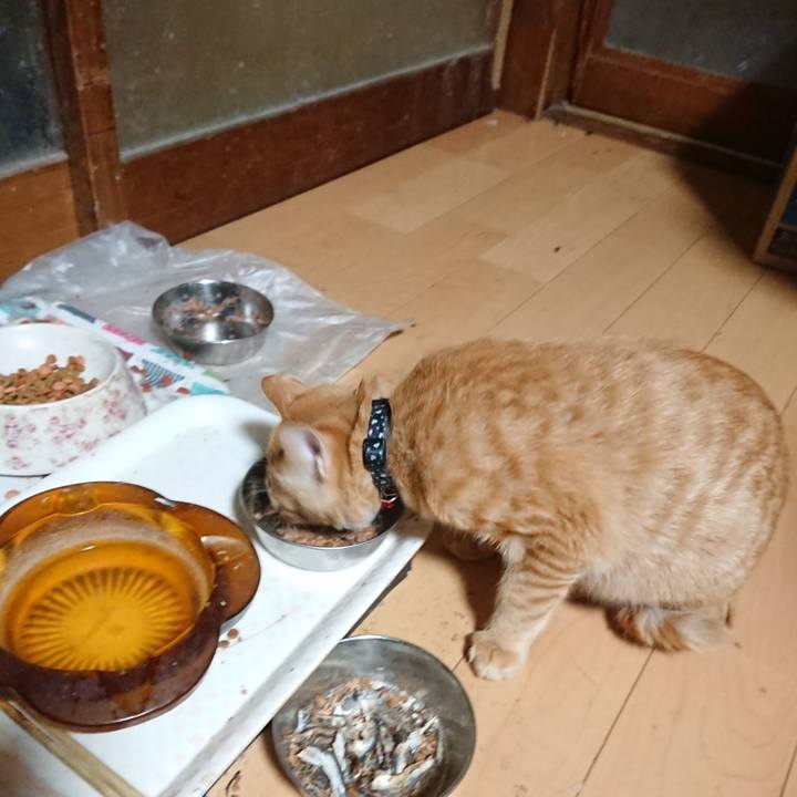 A8ee42de 2f0d 415e 85ba 3bd7fc8acfc1 1636143601531