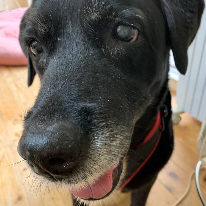 A8ee7a23 ada3 47c7 b0f6 510f7a7e43e2 1601079793019