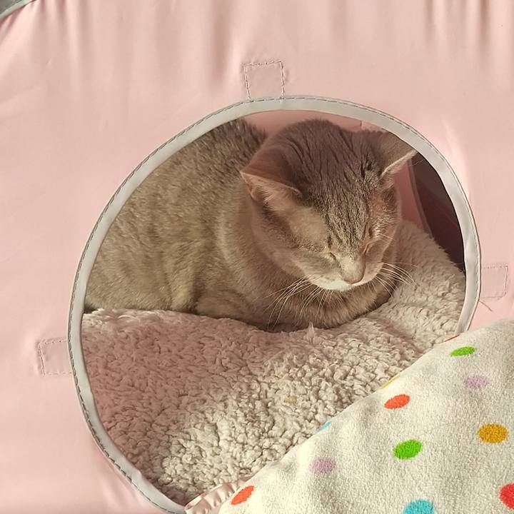 A8eefb42 cc46 440d a94b 18fd1b3c139b 1672793298450