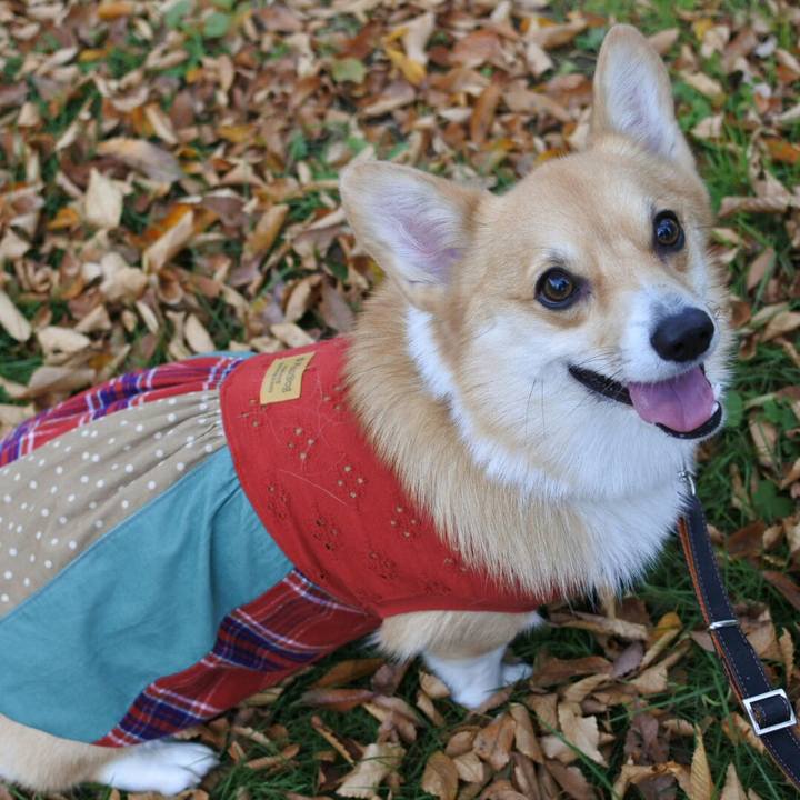 A8ef011a 9e7c 4814 ae71 fc87312429ad 1509853438016