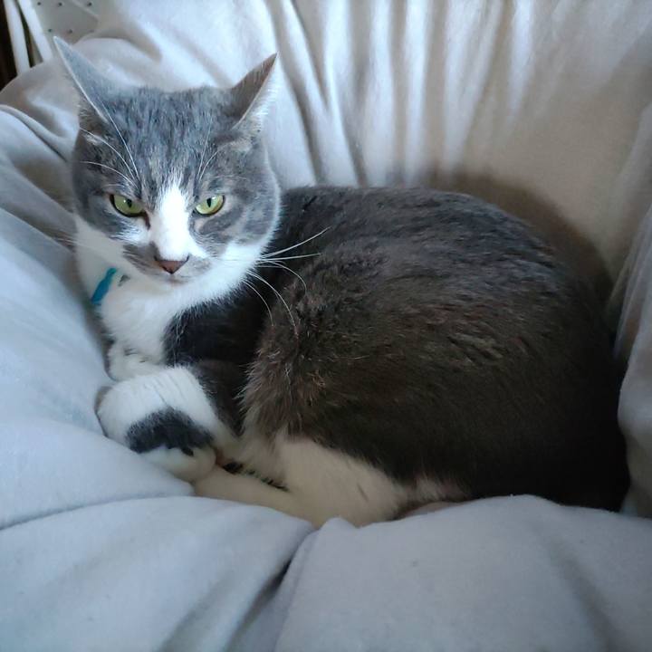 A8ef066d f05e 48b8 baf5 16b5f87dbfe7 1669503751306