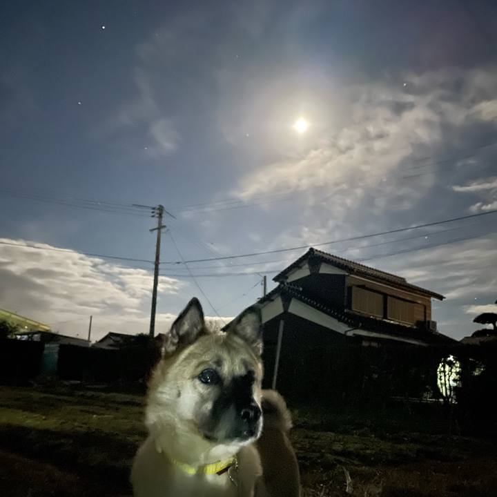 A8ef1248 8b99 4f8c b877 34015633bf9a 1639833728246