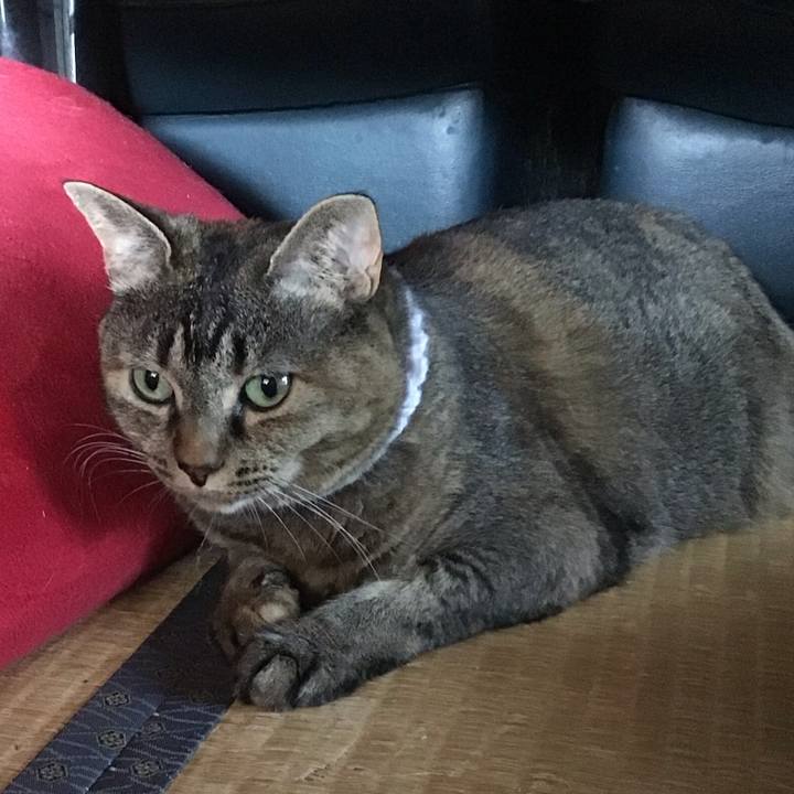 A8ef33a6 27ce 47c1 b36c f9c715b392de 1751891015308