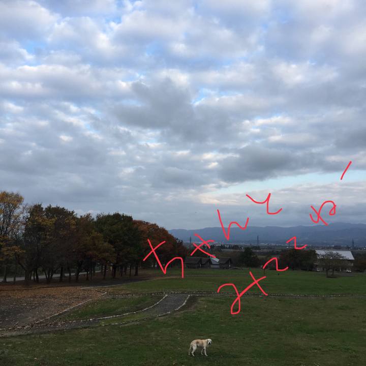 A8ef46e0 7c76 40de afa3 1a582ba2549d 1541578574453