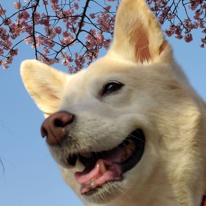 A8ef505c 46c2 4243 9b9a a50c3d9ca613 1613957672145