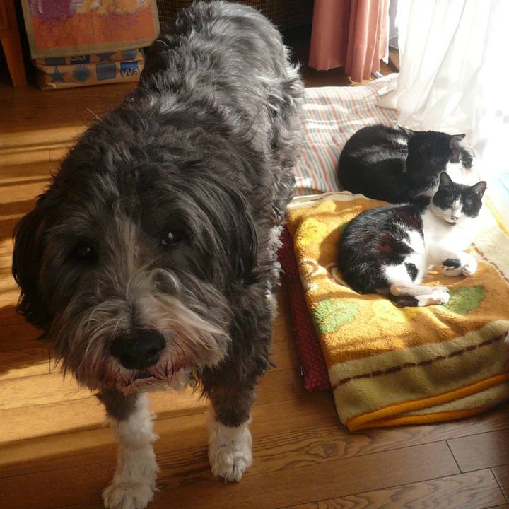 A8ef53aa 9d5f 4323 9957 d729846dc93c 1703396351885