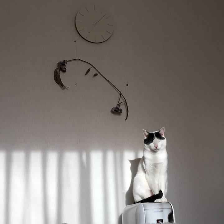 A8ef674c d9c7 4fa7 b88f 4bf793aece77 1522561702354