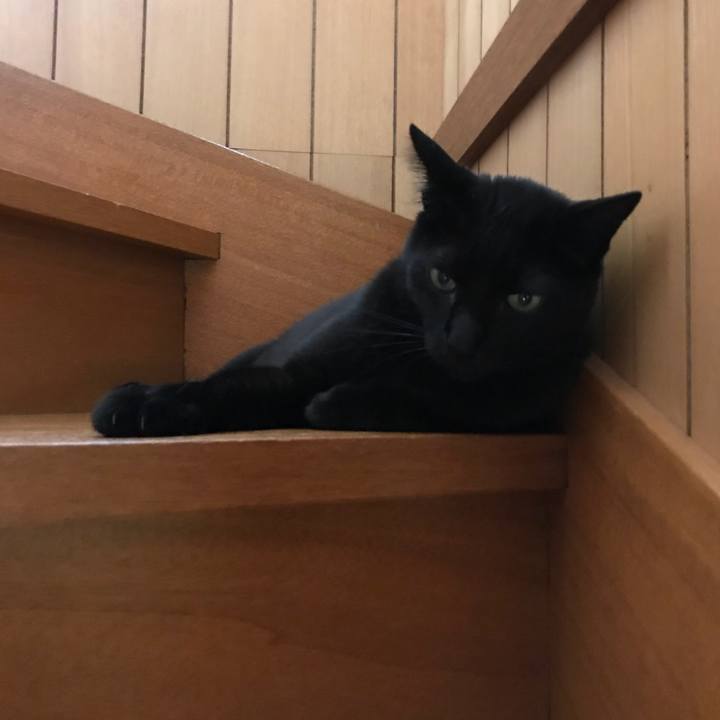 A8ef720d 1ee8 4682 adfd cca812bb18da 1529025044875