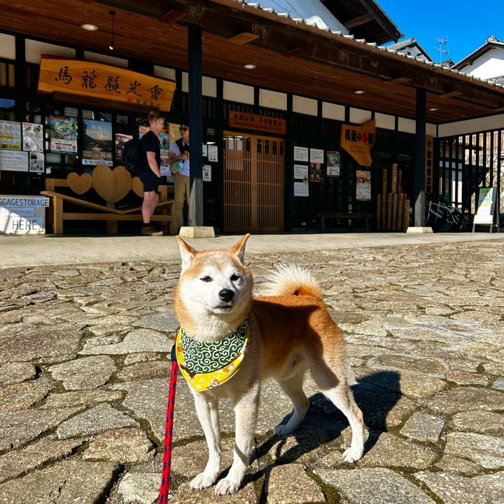 A8ef9c54 2b13 4c28 b47c 17fc1316b80c 1763629175464