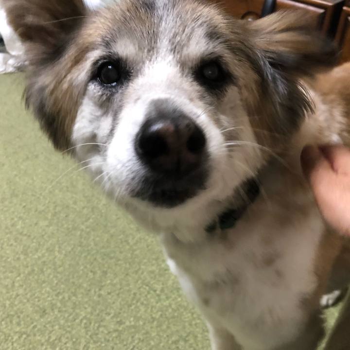 A8efd5dd c35c 42fd 9893 bb312f35e223 1533373830453