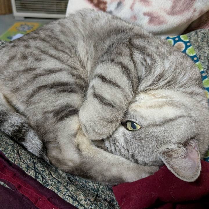 A8eff7ec d0f4 431e 99de dfe9083652b4 1737297106446