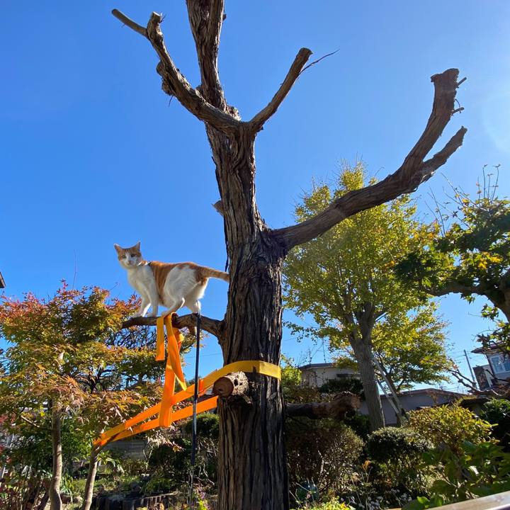 A8effe15 4d5f 4e79 b306 15a0ce1728bd 1572842646773