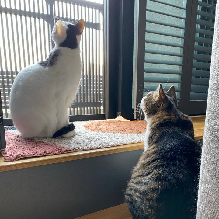 A8f04b80 296d 4c00 971c a067b8a6b17b 1742954134421