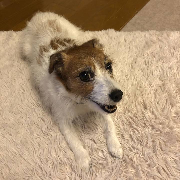 A8f051ab ea52 432d b0c3 cbce1e980719 1625318061737