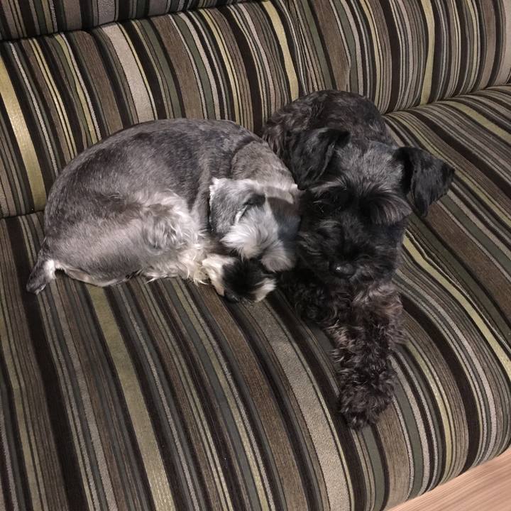 A8f07776 87dc 4ddd 9ac0 e374e1fd72ab 1508185459592