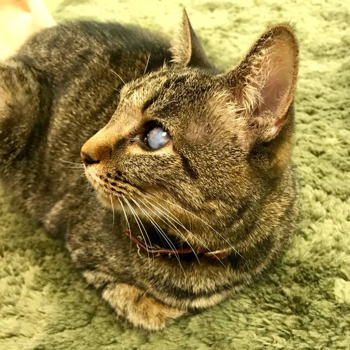 A8f099c3 bdb9 471b a628 9505a4a7611e 1518227552586