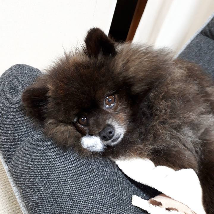 A8f0b0cc 5828 44d4 b8d1 8f6d4a023a3a 1520505691320