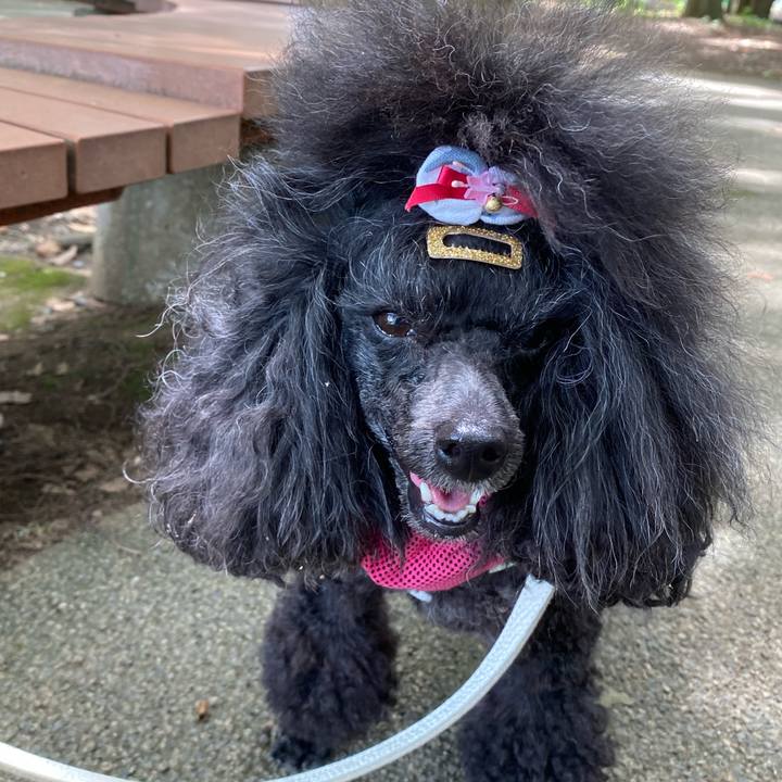 A8f1123a be4b 4cfb 96f7 03d0f5fa1bef 1658291708833