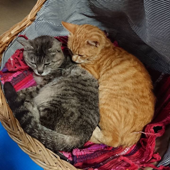 A8f14153 cceb 4804 b2d9 b35e699937dd 1560575189270