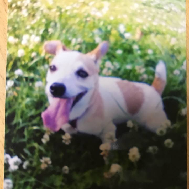 A8f17893 d0c4 4862 a8d9 189d1e1880af 1526813241017