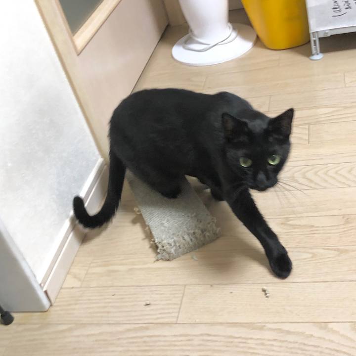 A8f18dc4 1851 4cd5 b2b6 bc166c89820e 1601040436414