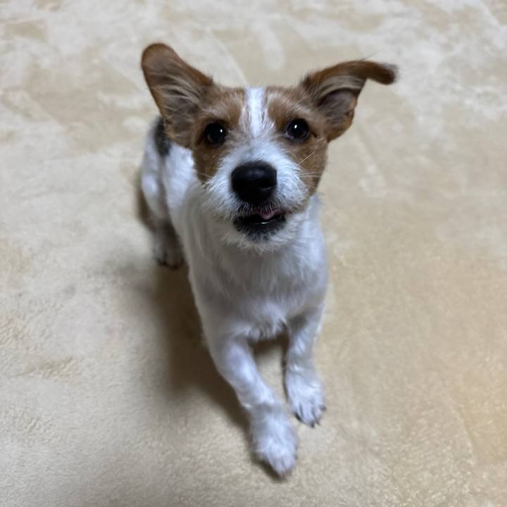 A8f1b615 516d 44d0 aa33 e68562a996f4 1764714372585