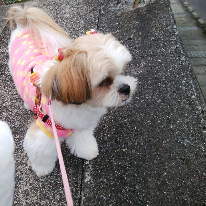 A8f1d525 c111 4b4c 8707 d2df09a8c3a1 1508816852075