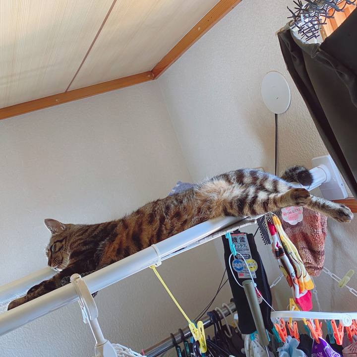 A8f1efa7 6916 4414 9cc0 113582917b8f 1588390030866