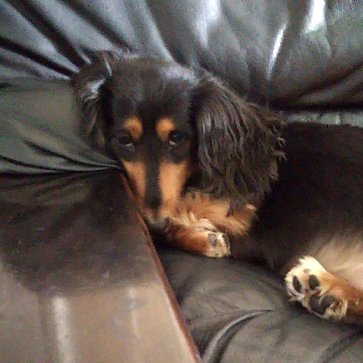 A8f1f167 c151 499b af54 b35d57568a88 1584341994898