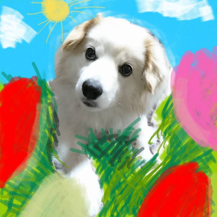 A8f202c7 9ab2 4cd4 8aba 25304946d6ff 1524063316067