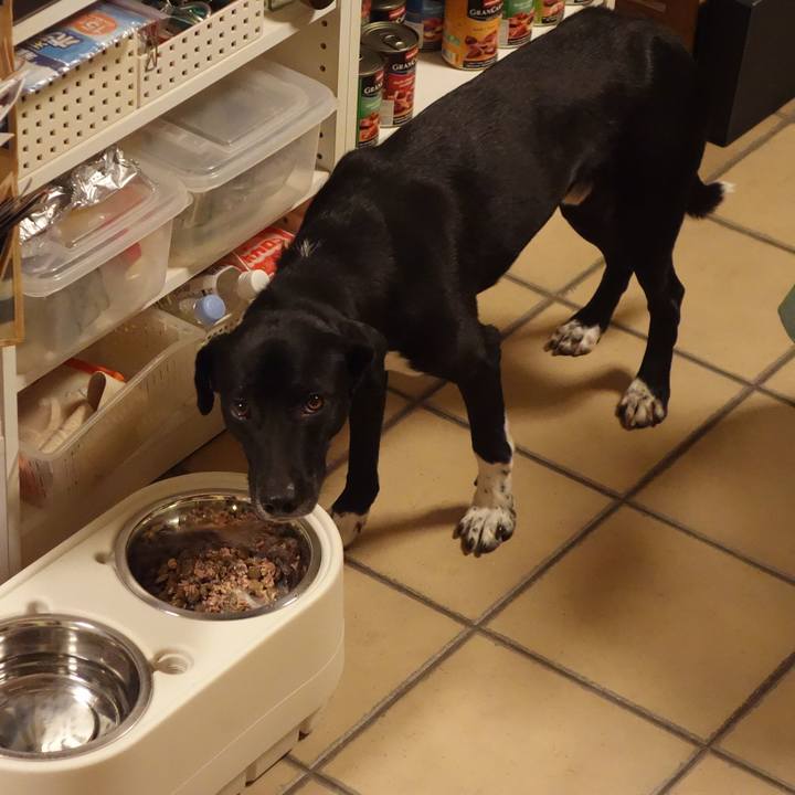 A8f248d0 24f6 465b b4f9 fd1b52e3fcd9 1582462518141