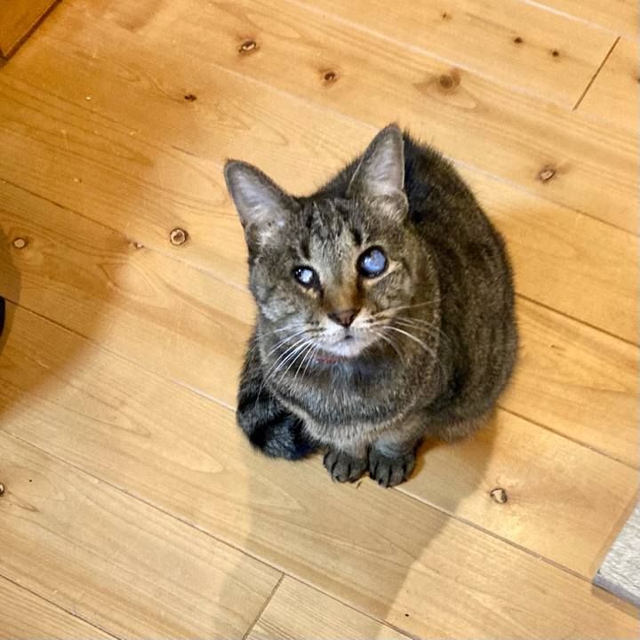 A8f271a0 9839 4c76 844d 9f5d490f7a8e 1644280917544