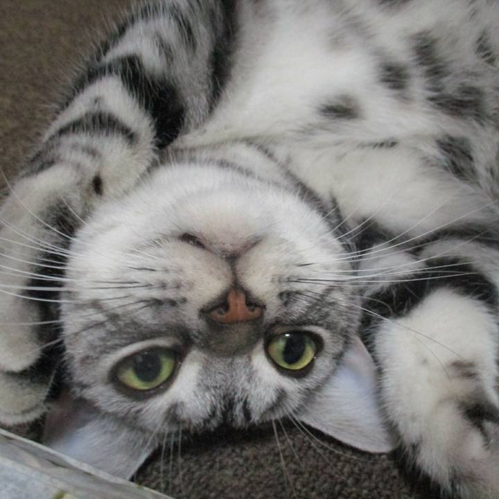 A8f2d3d0 fb50 4435 b7fe 236d4615753d 1564232455840