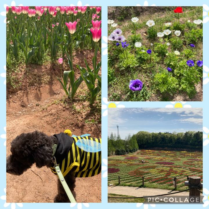 A8f2e230 1ac7 40b4 83b8 1a3c56a29101 1619270286145