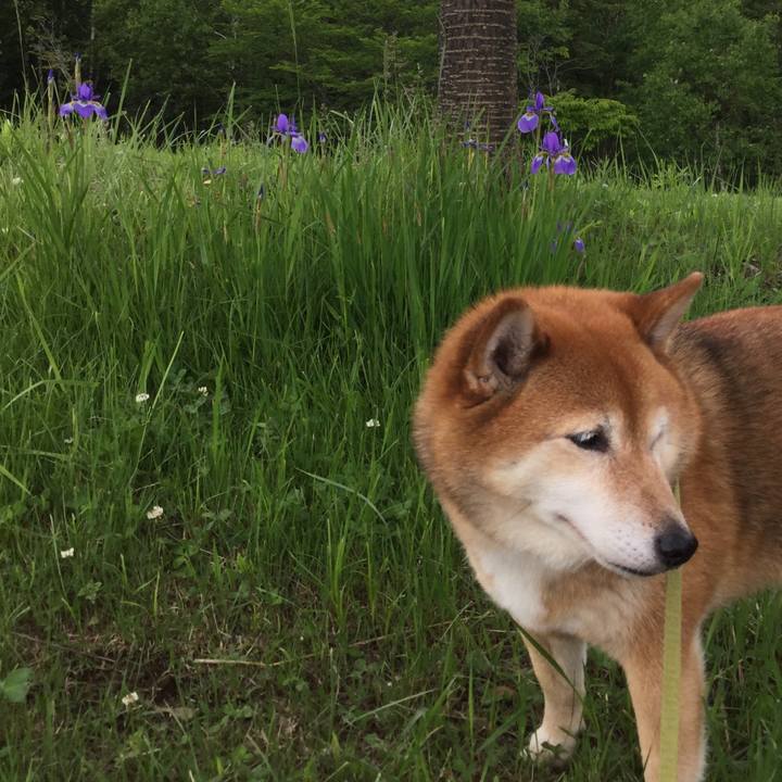 A8f305c3 914b 44c0 af15 dc68f466539a 1592888706048