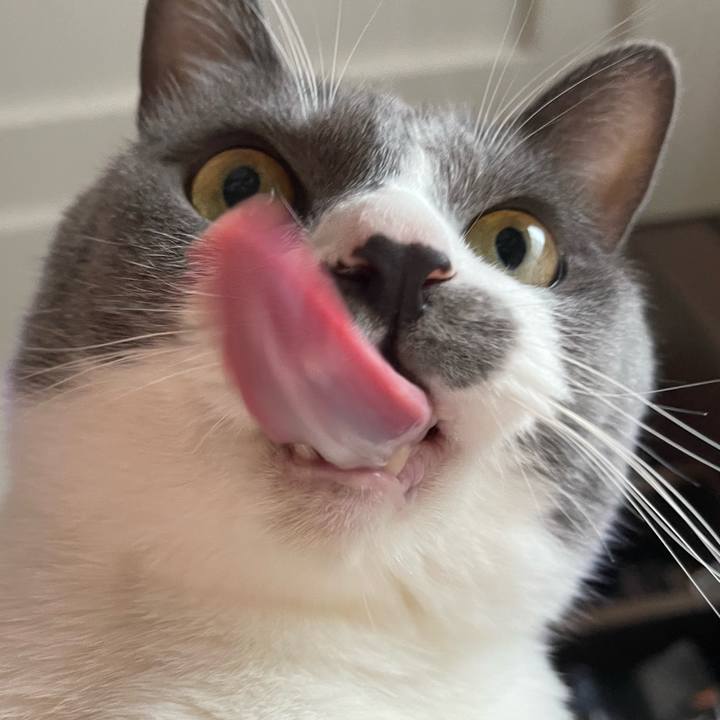 A8f34f62 e901 4bfb baf1 ee666ade5f7d 1659947918560