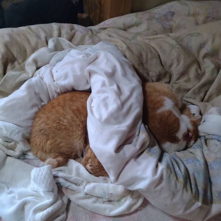 A8f35336 ea9b 4f20 8611 864329aa3ee3 1764196363180