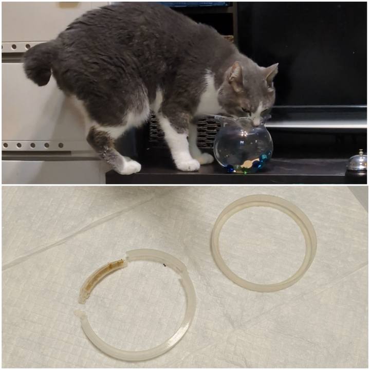 A8f38119 1d7c 4cb0 8047 b57fea19bbc4 1771172664130