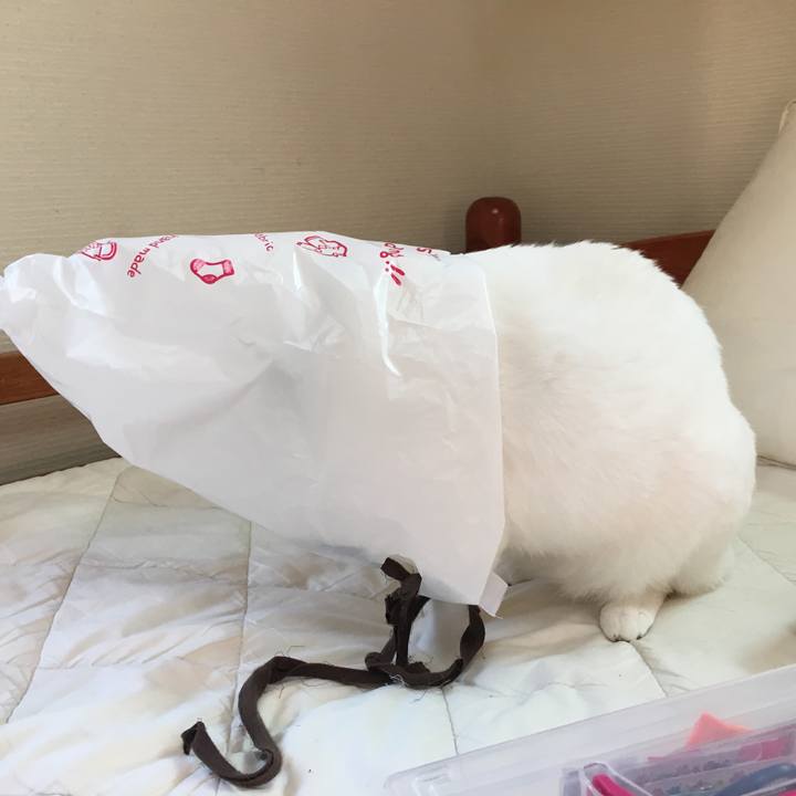 A8f3af79 be1f 4441 a487 3a0529141f53 1521026822517