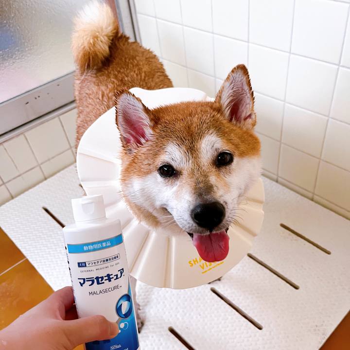 A8f3c22c 4d72 4553 abd9 5fabd503826c 1661314595410