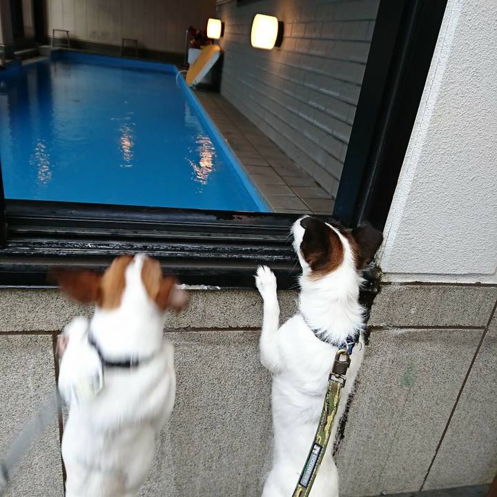 A8f3ee54 5661 4bc8 8106 ffe3c0614c3b 1529463374121