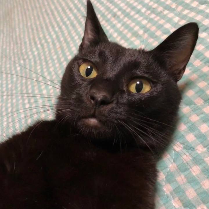 A8f45bd0 9364 4660 be40 62a11f7c1f27 1664543852854