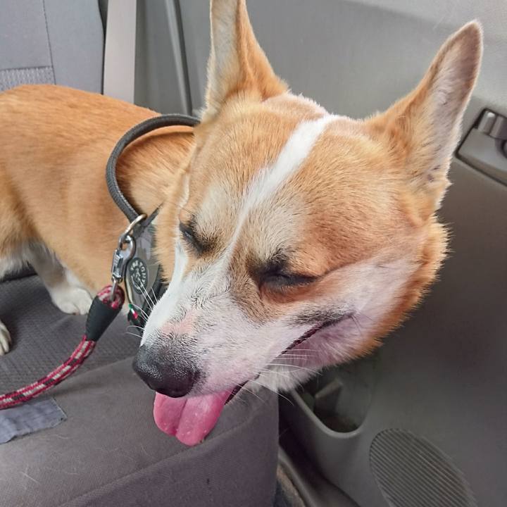 A8f45df5 d0cf 47b3 bf3f ce929b9c2be3 1623895056257