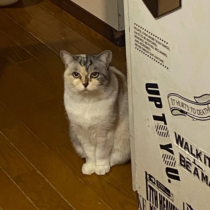 A8f45f7e c104 4092 878a a5d2a856bacf 1668009725607