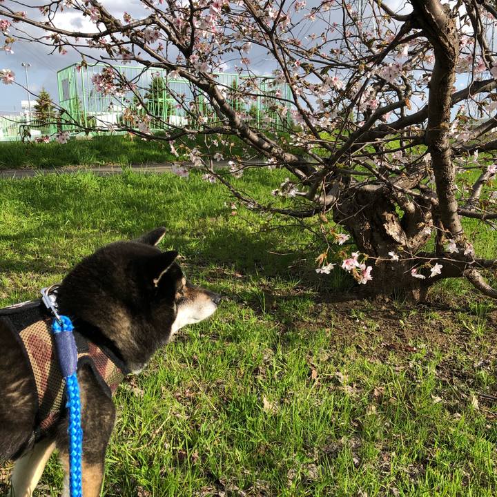 A8f467e6 e78a 4381 96c9 867c1a3298d4 1620562065481