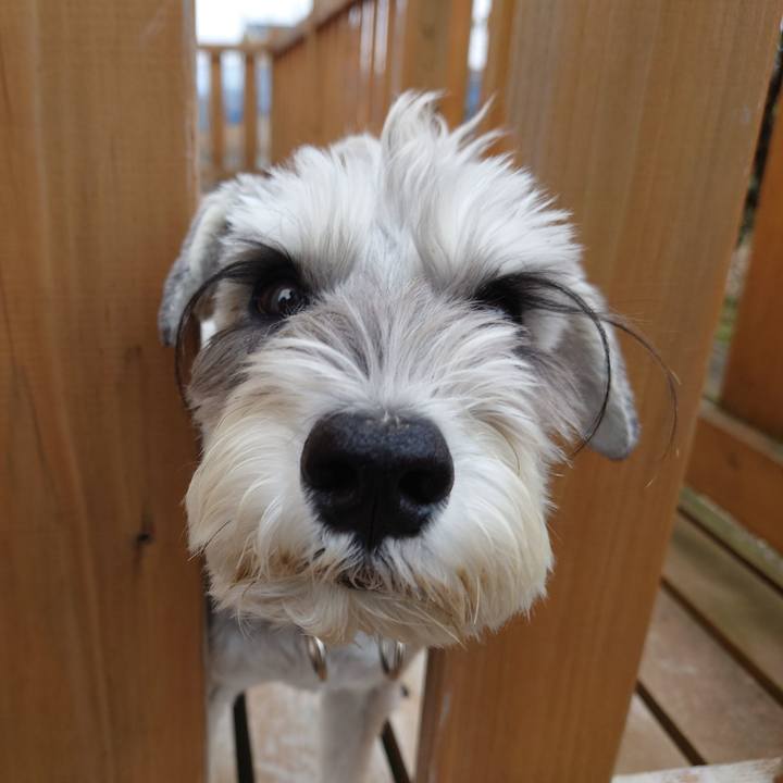 A8f4a515 9d67 4e44 9069 f5ec9c742fa6 1762644908688