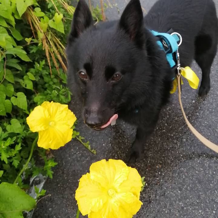 A8f4b0d7 1dd7 462b 9189 9d8858739cb7 1661031810737