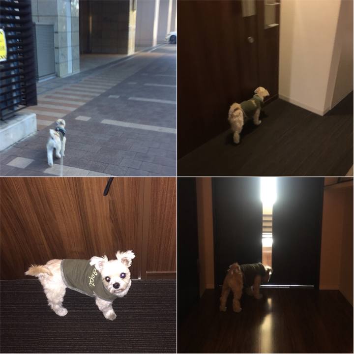 A8f4f686 eff7 4fcf ab96 43ea61d24241 1542947769443