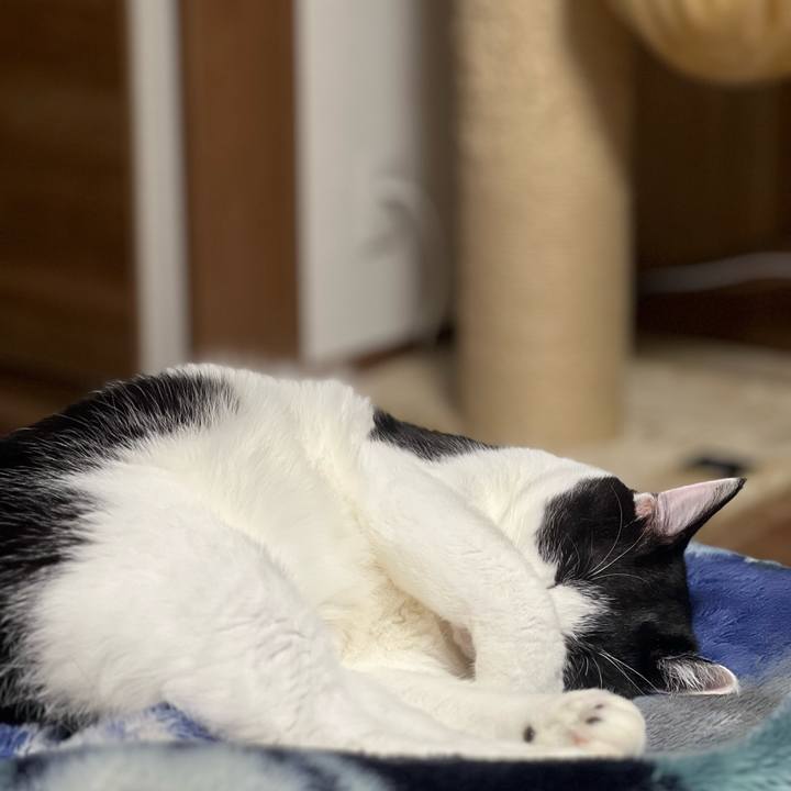 A8f52503 1f50 4a47 b877 81c73bcca6df 1686315656313